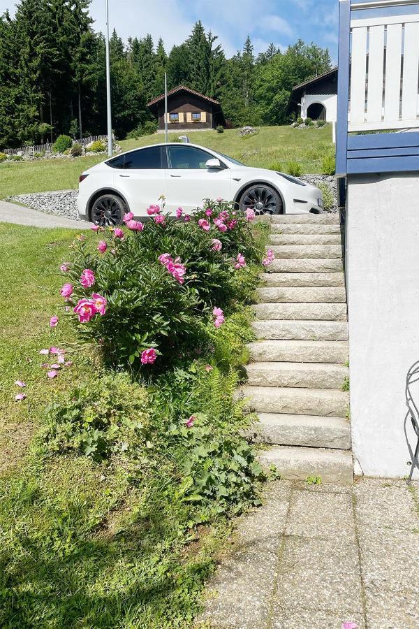 Haus Waldblick Appartement Philippsreut Buitenkant foto